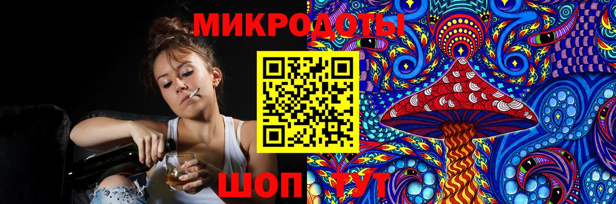 Галлюциногенные грибы Psilocybine cubensis Новосибирск